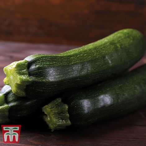 Courgette Sure Thing Vegetable Seeds