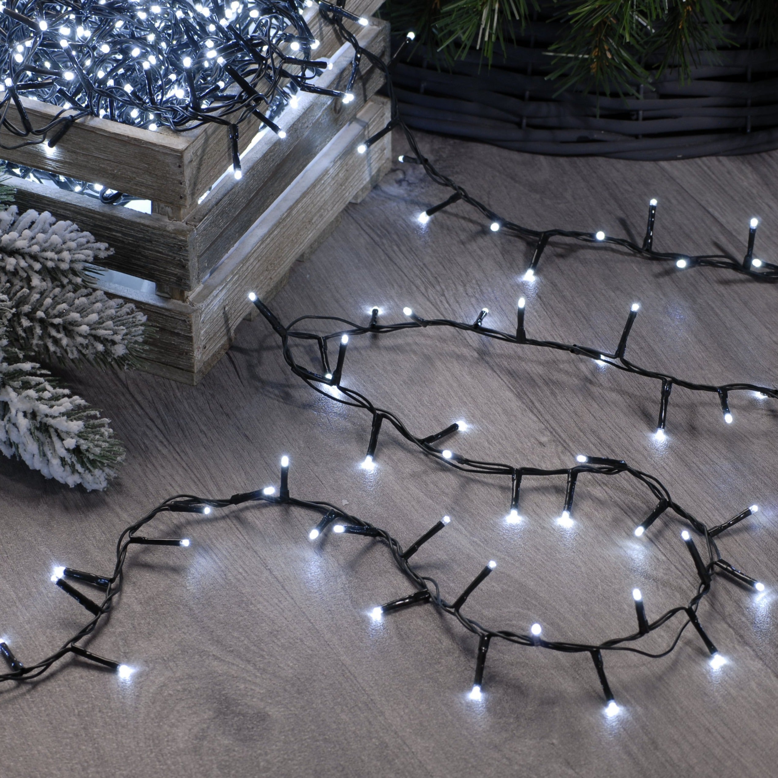 Festive Sparkle 1000 LED Lights - Cold White | Cornwall Garden Shop | UK