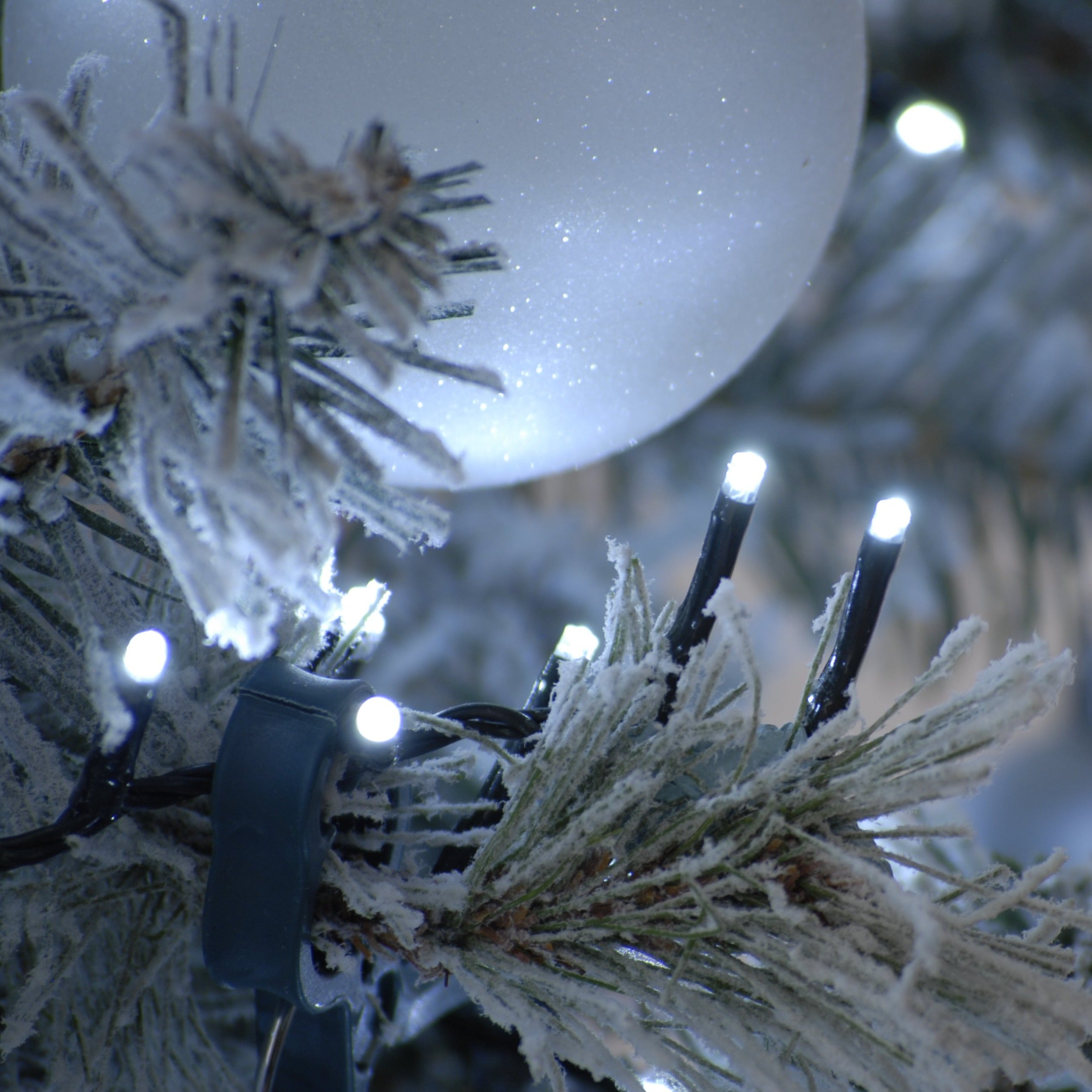 Festive Sparkle 1000 LED Lights - Cold White | Cornwall Garden Shop | UK