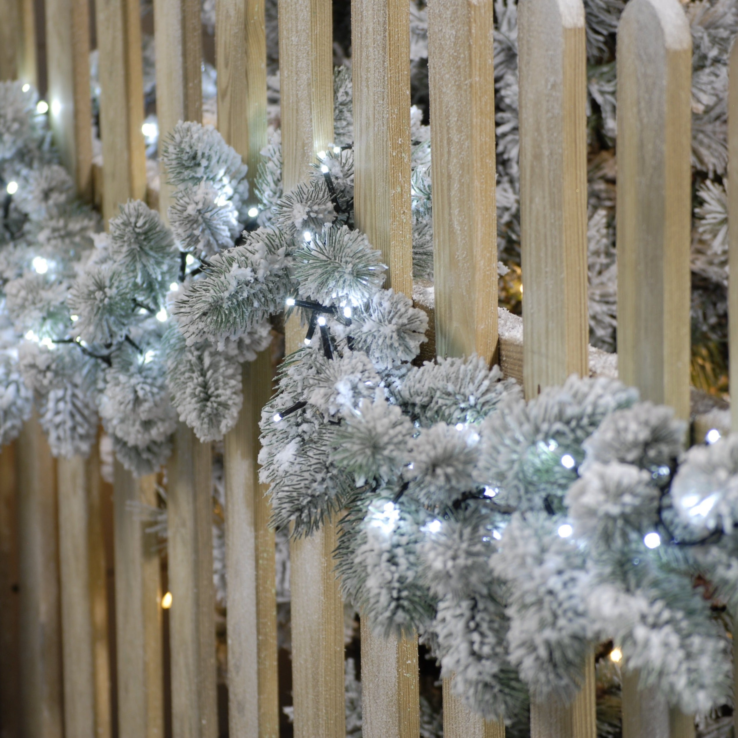 Festive Sparkle 1000 LED Lights - Cold White | Cornwall Garden Shop | UK