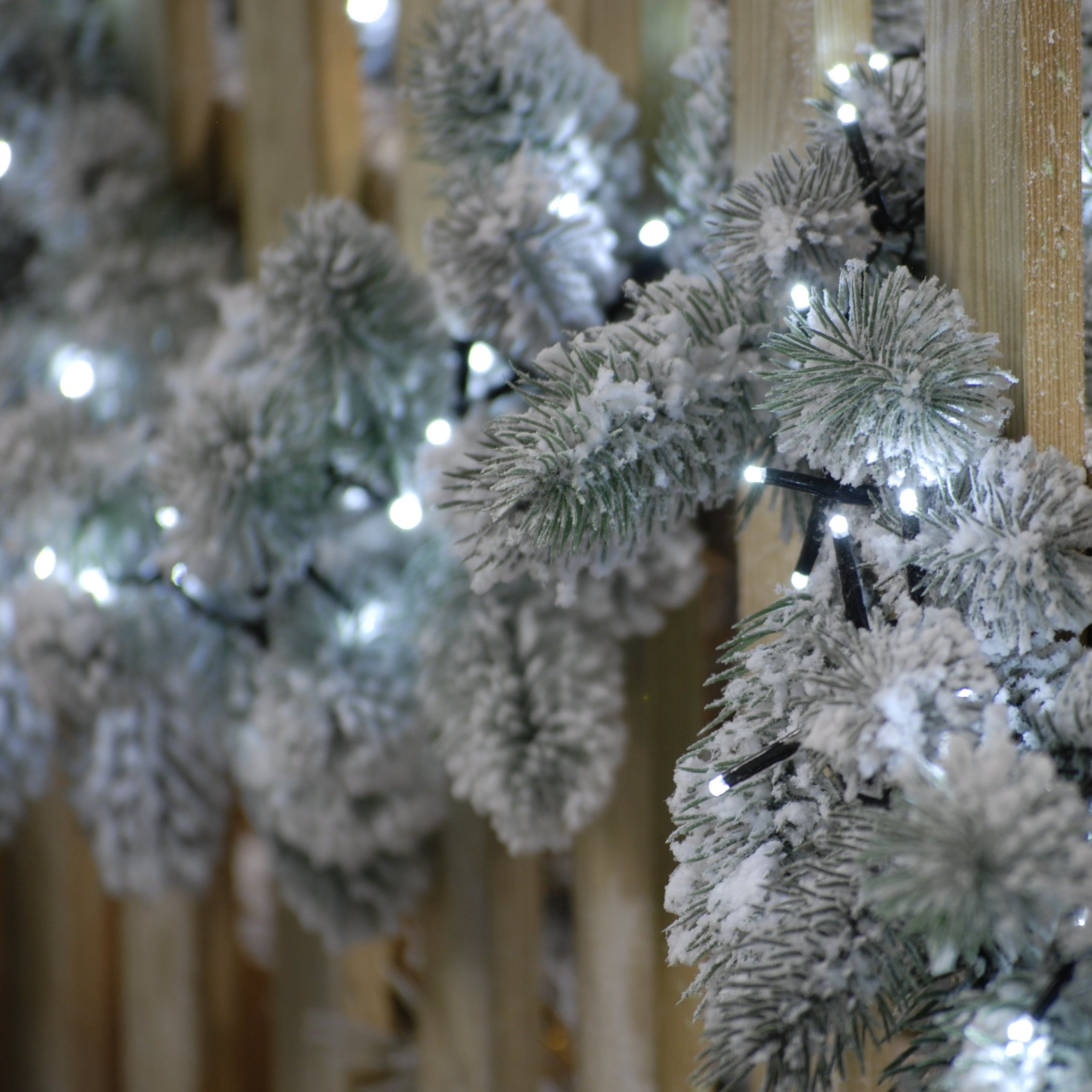 Festive Sparkle 1000 LED Lights - Cold White | Cornwall Garden Shop | UK