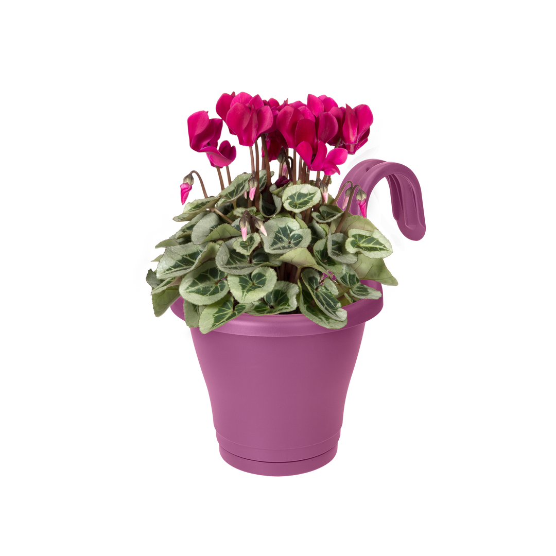 Corsica Easy Hanger Single Outdoor Pot Vivid Violet | Cornwall Garden Shop | UK
