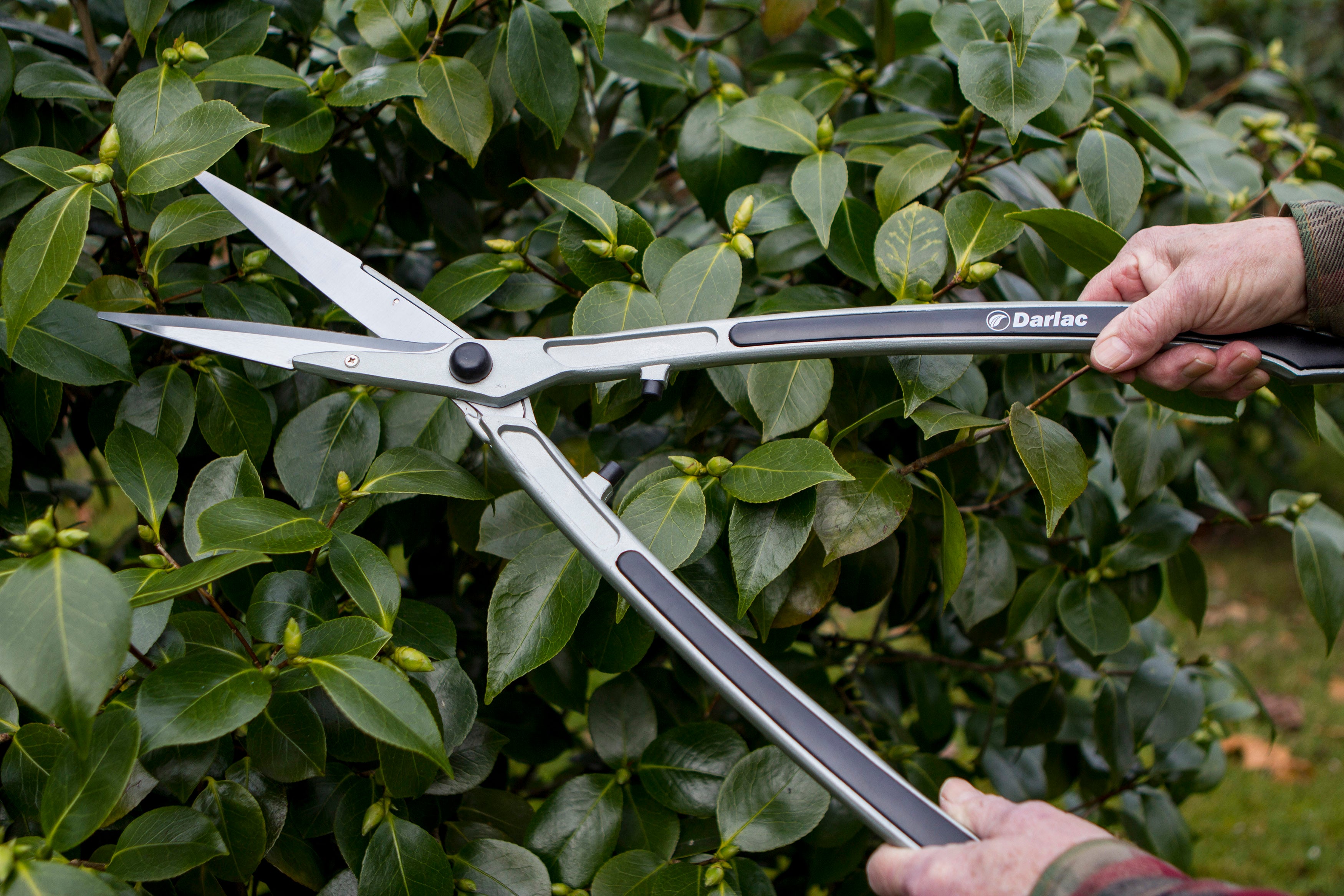 Shears Lightweight 20cm (8")