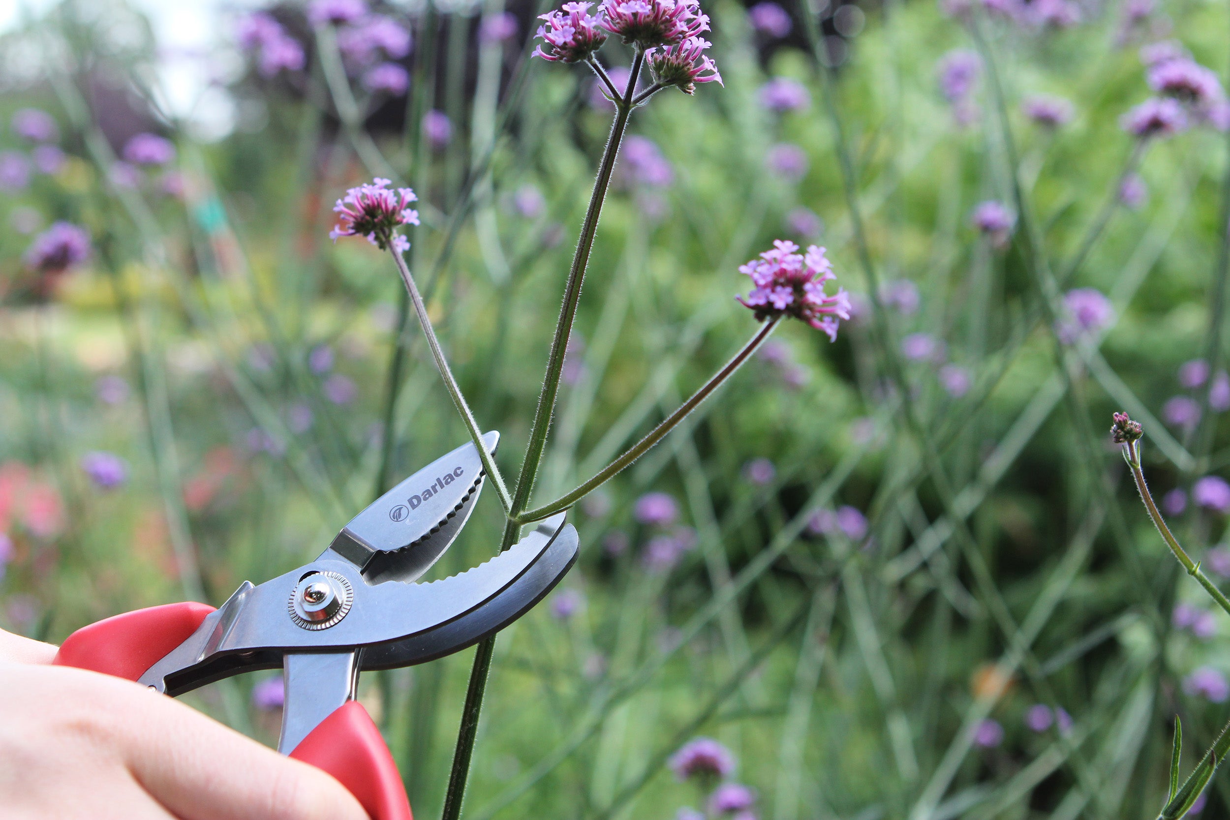 Pruner Bypass Cut-n-Hold