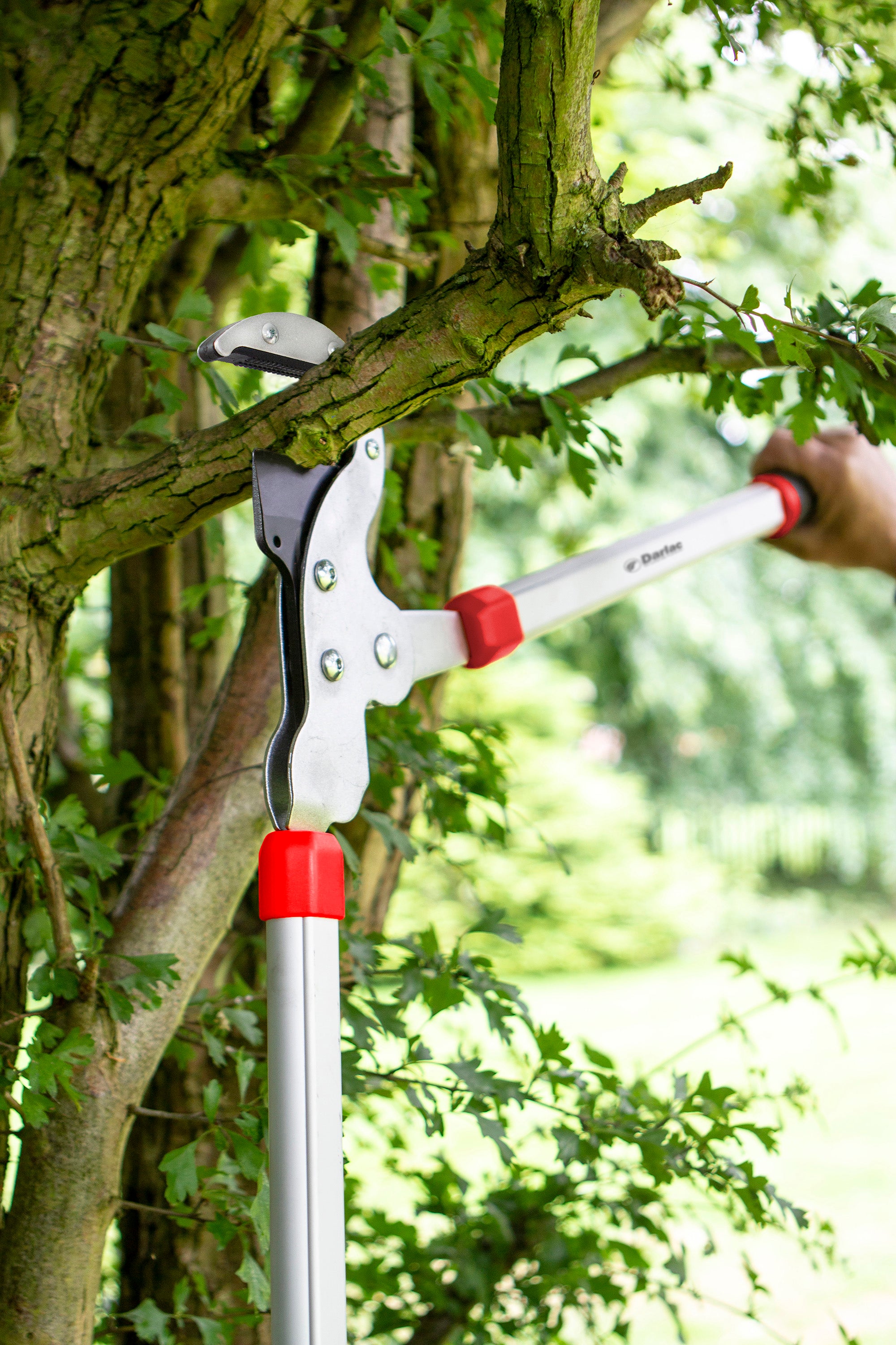 Loppers Anvil Geared Heavy Duty