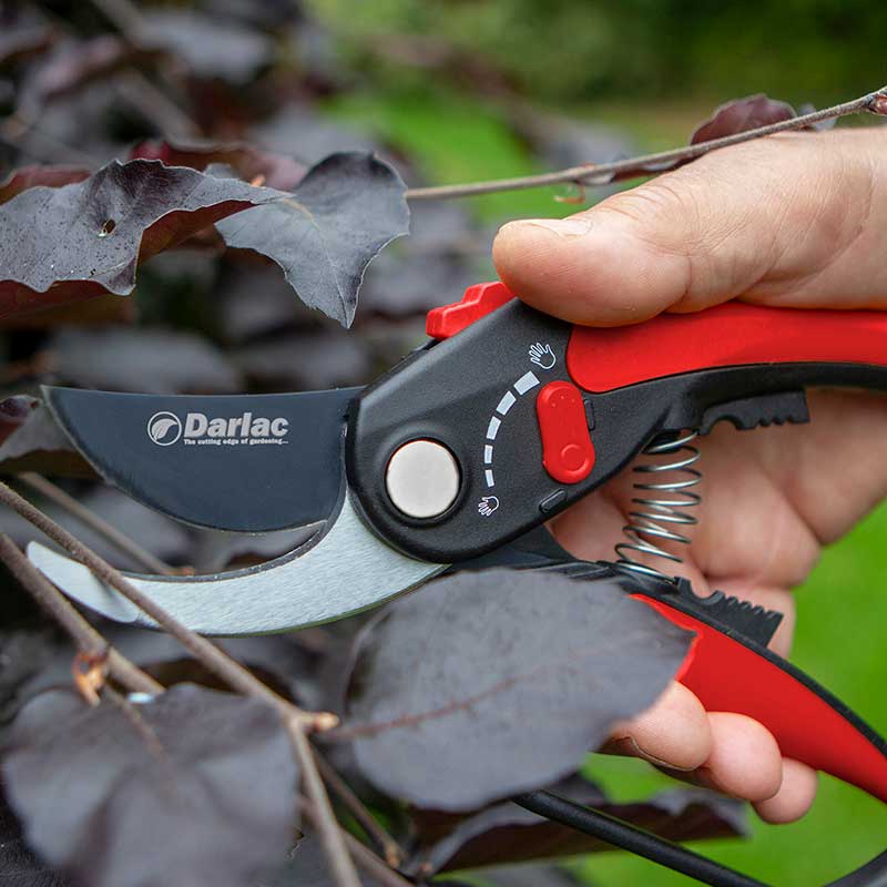Pruner Bypass Adjustable