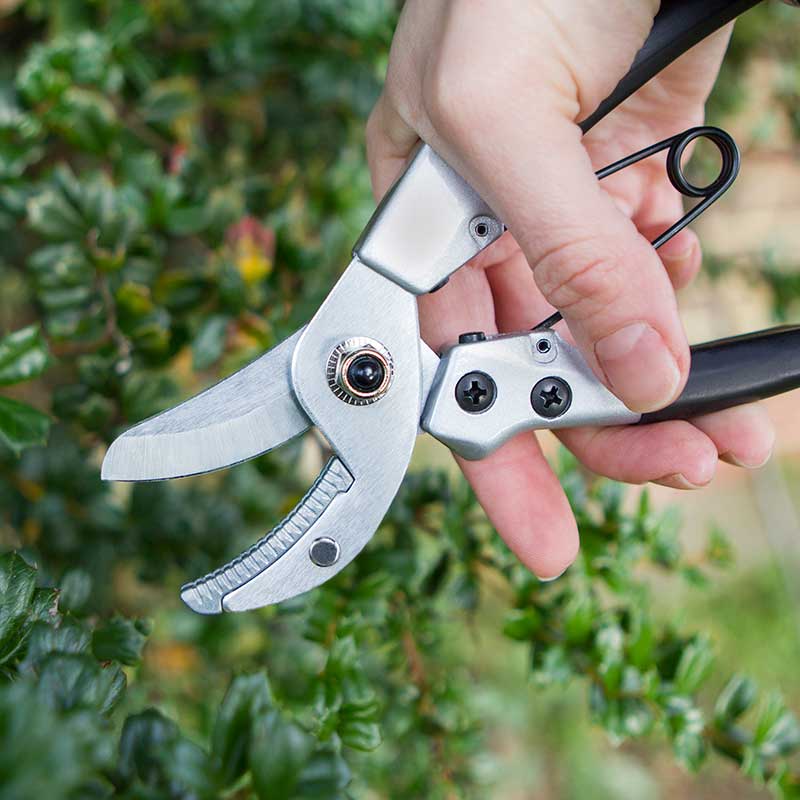 Pruner Anvil Compact