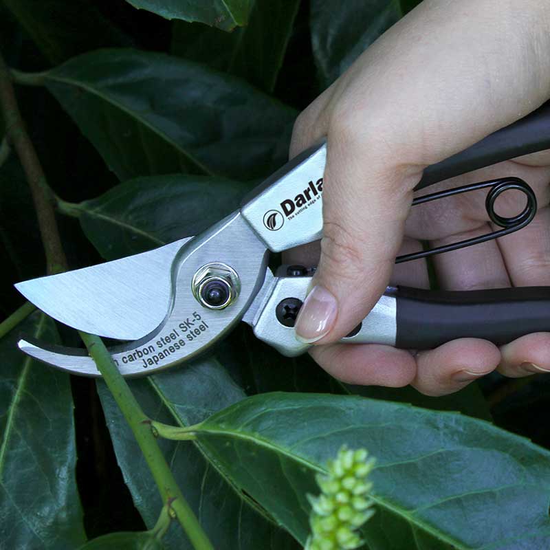 Pruner Compact