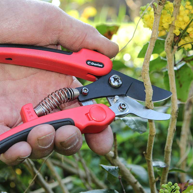 Pruner Compound Action