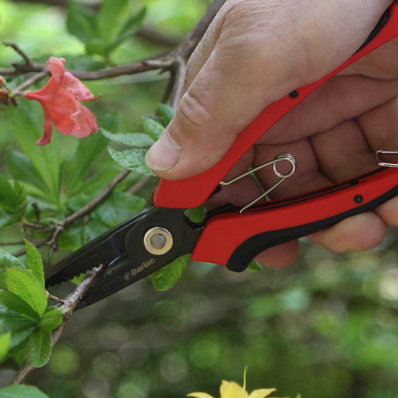 Snips Flower Cut-n-Hold