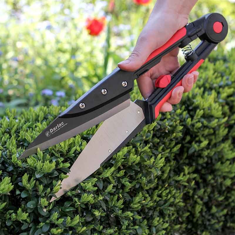 Shears Topiary Expert