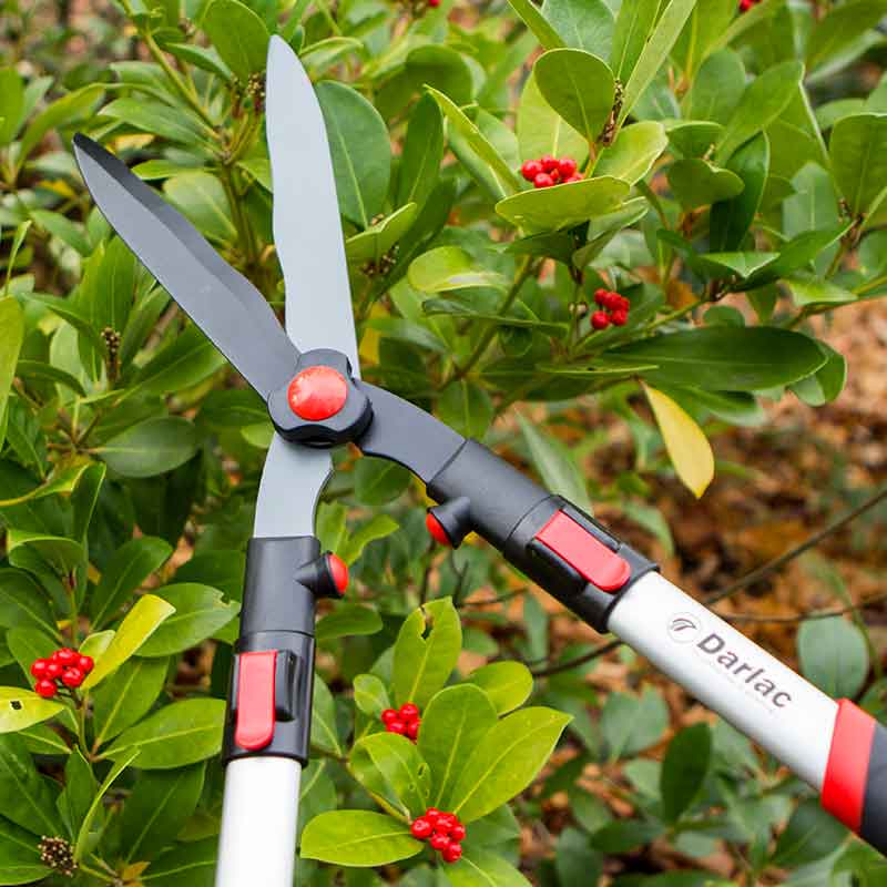 Shears Hedge Telescopic