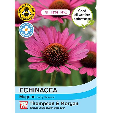 Echinacea Purpurea Magnus Flower Seeds