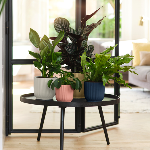 Vibes Fold Round Wheels 35cm Deep Blue | Cornwall Garden Shop | UK