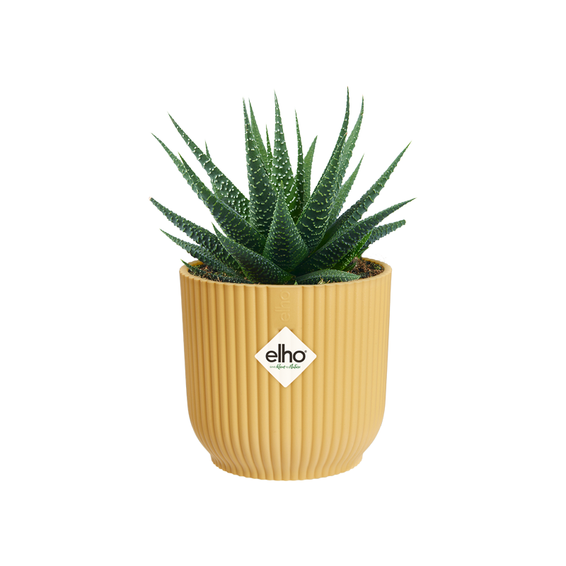Vibes Fold Round Mini 11cm Butter Yellow | Cornwall Garden Shop | UK