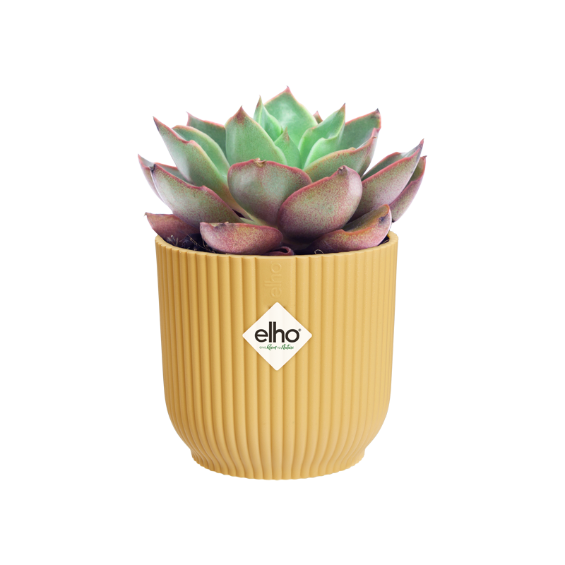 Vibes Fold Round Mini 11cm Butter Yellow | Cornwall Garden Shop | UK