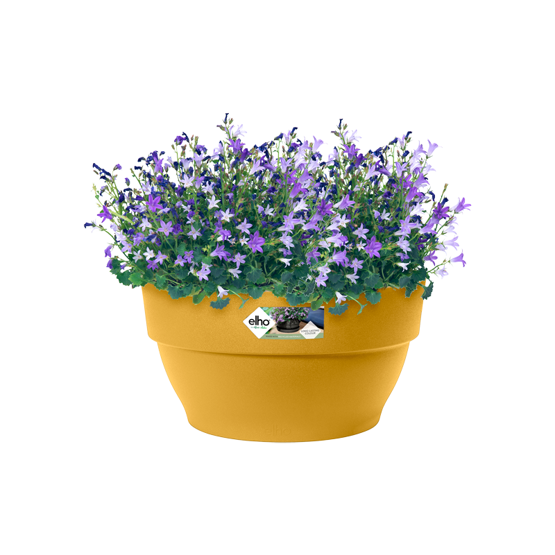 Vibia Campana Bowl 27cm Honey Yellow | Cornwall Garden Shop | UK