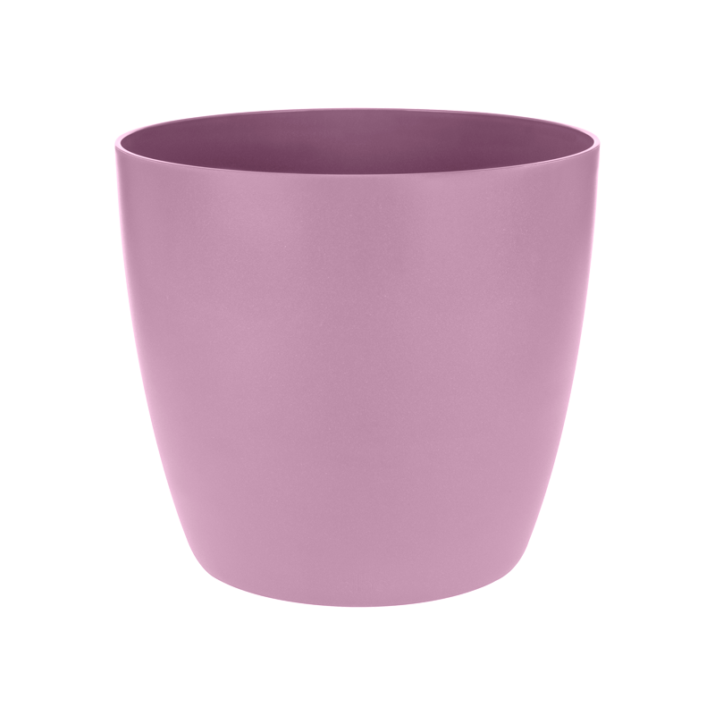 Brussels Round 16cm Vivid Violet | Cornwall Garden Shop | UK