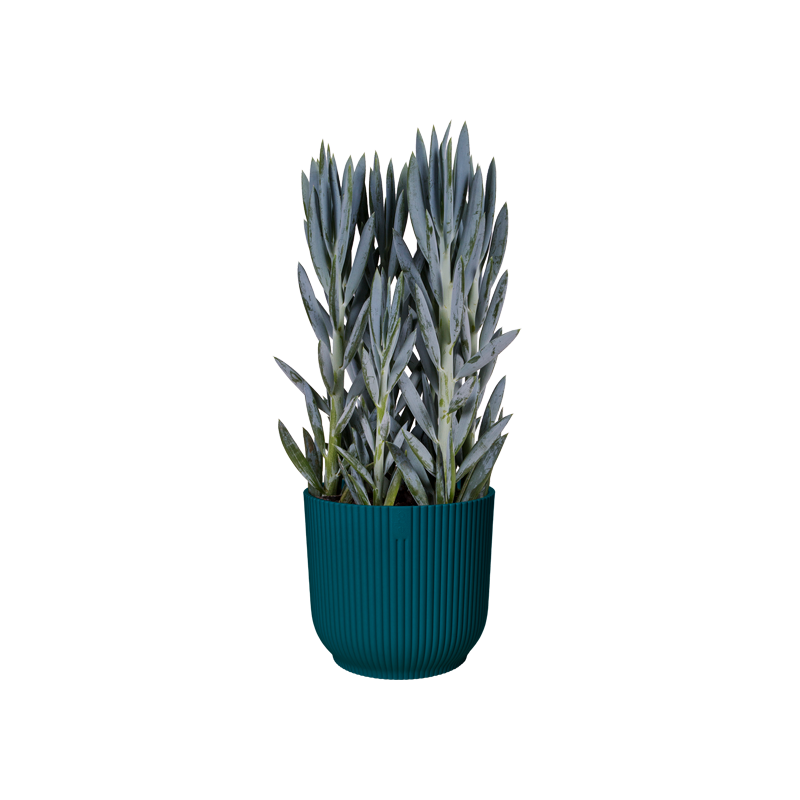 Vibes Fold Round Wheels 35cm Deep Blue | Cornwall Garden Shop | UK