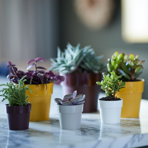 b.For Original Round Mini 13cm Warm Grey