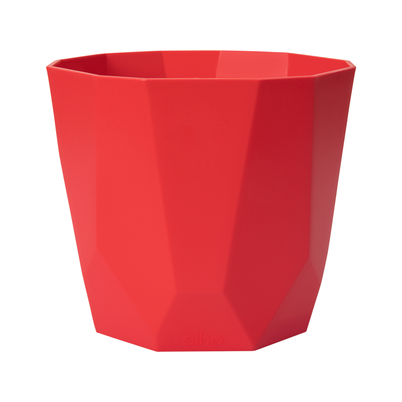 b.For Rock 18cm Brilliant Red | Cornwall Garden Shop | UK