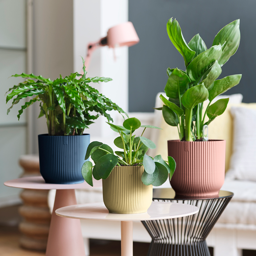 Vibes Fold Round Wheels 35cm Deep Blue | Cornwall Garden Shop | UK