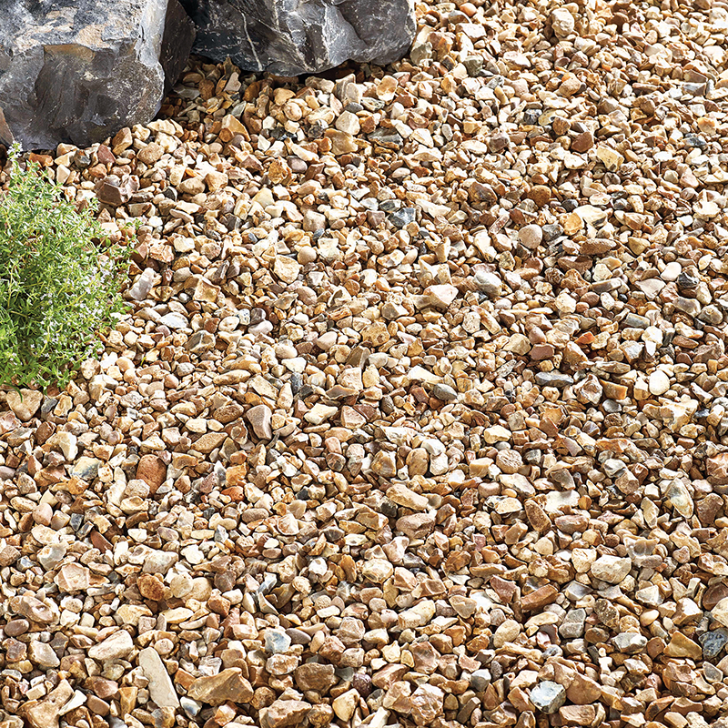 Golden Gravel | Cornwall Garden Shop | UK