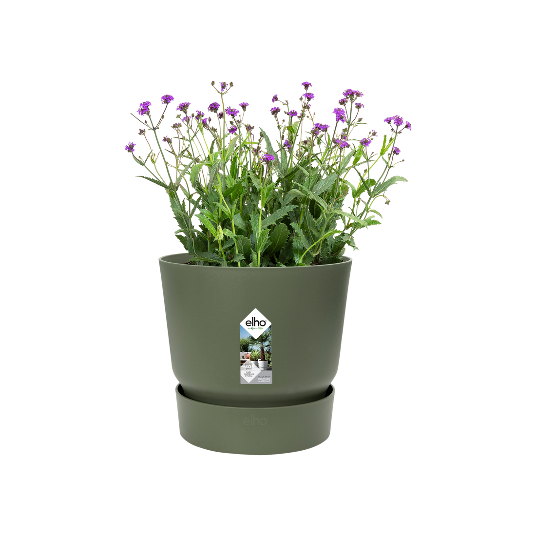 Greenville Round 14cm Leaf Green | Cornwall Garden Shop | UK