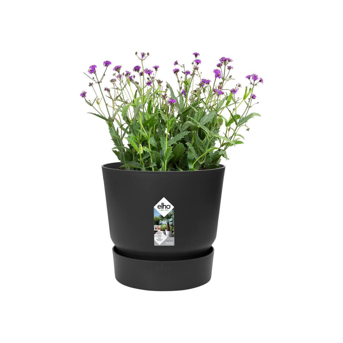 Greenville Round 14cm Living Black | Cornwall Garden Shop | UK