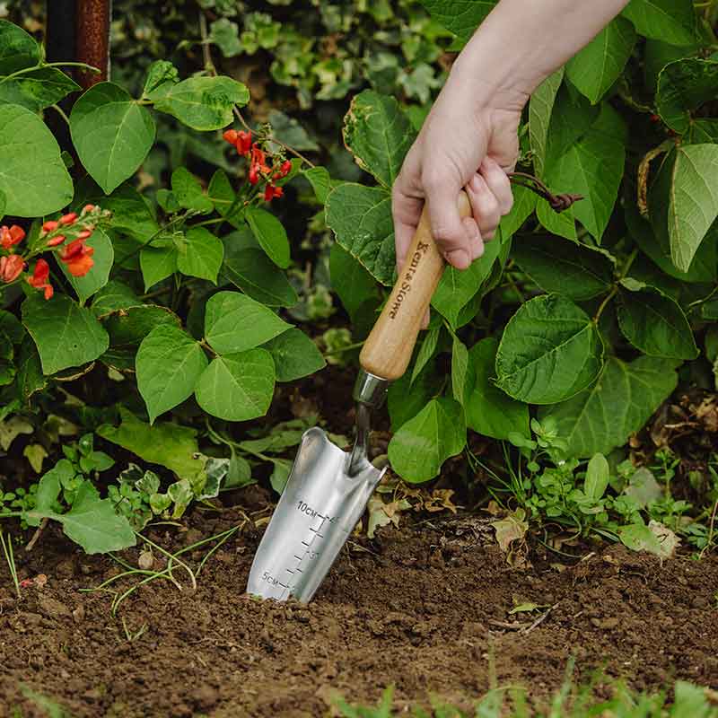 Hand Trowel Transplanting Stainless Steel