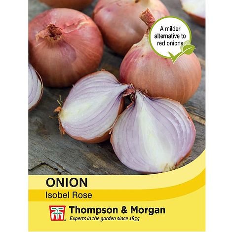 Onion Isobel Rose Seeds