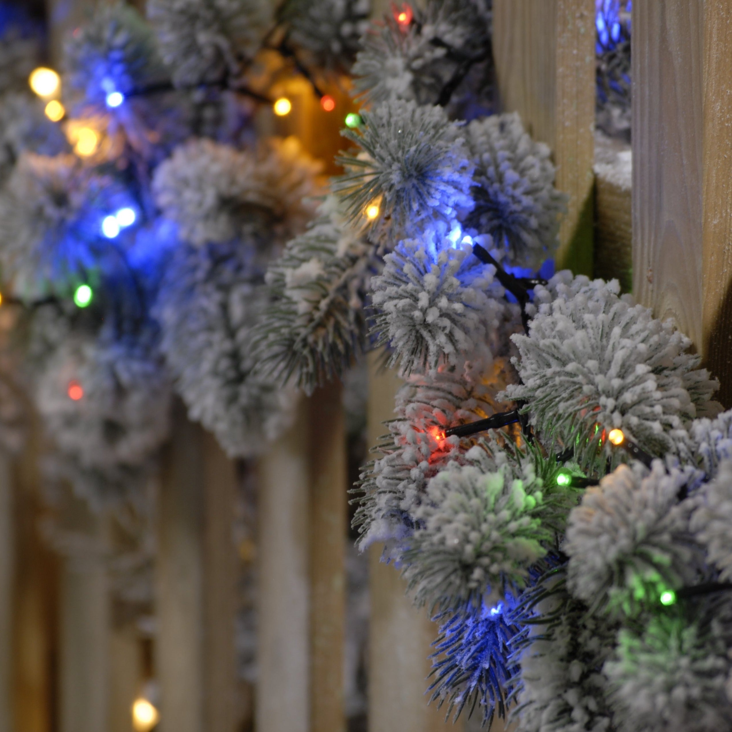 520 Sparkle Lights - Multicolour | Cornwall Garden Shop | UK