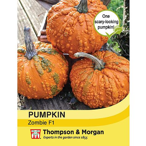 Pumpkin Zombie F1 Hybrid Seeds