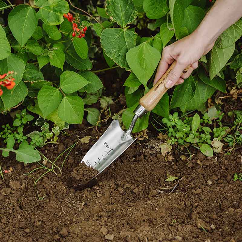 Hand Trowel Transplanting Stainless Steel