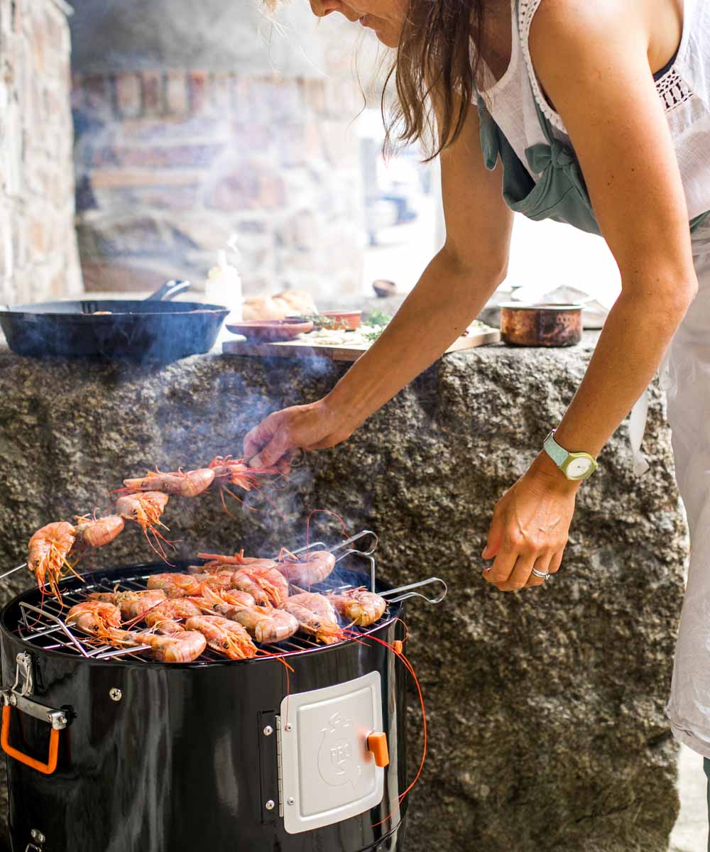 ProQ Frontier Charcoal BBQ Smoker