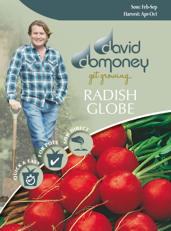 Radish Globe Seeds David Domoney
