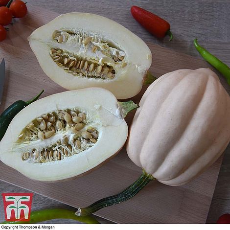 Squash Baked Potato (Winter) Seeds