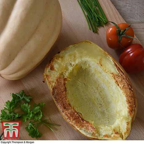 Squash Baked Potato (Winter) Seeds