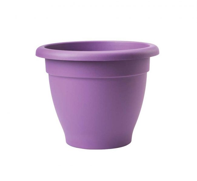 Essentials Planter Lavender 39cm | Cornwall Garden Shop | UK