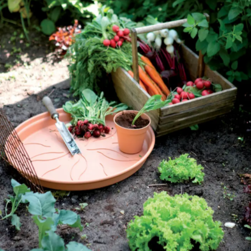 Green Basics Saucer 10cm Terra | Cornwall Garden Shop | UK