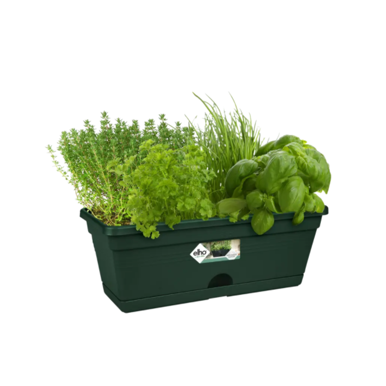 Green Basics Trough Mini 30cm Leaf Green | Cornwall Garden Shop | UK