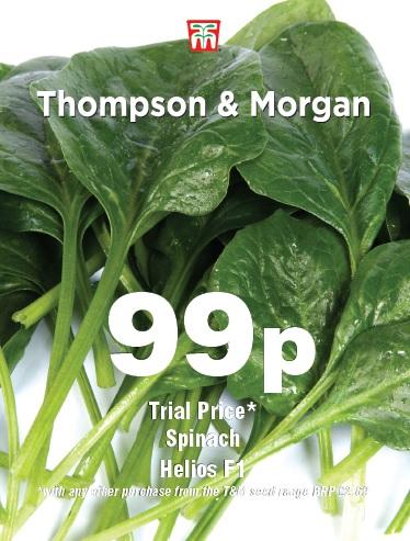 Spinach Helios F1 Seeds