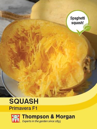 Squash Primavera F1 Seeds