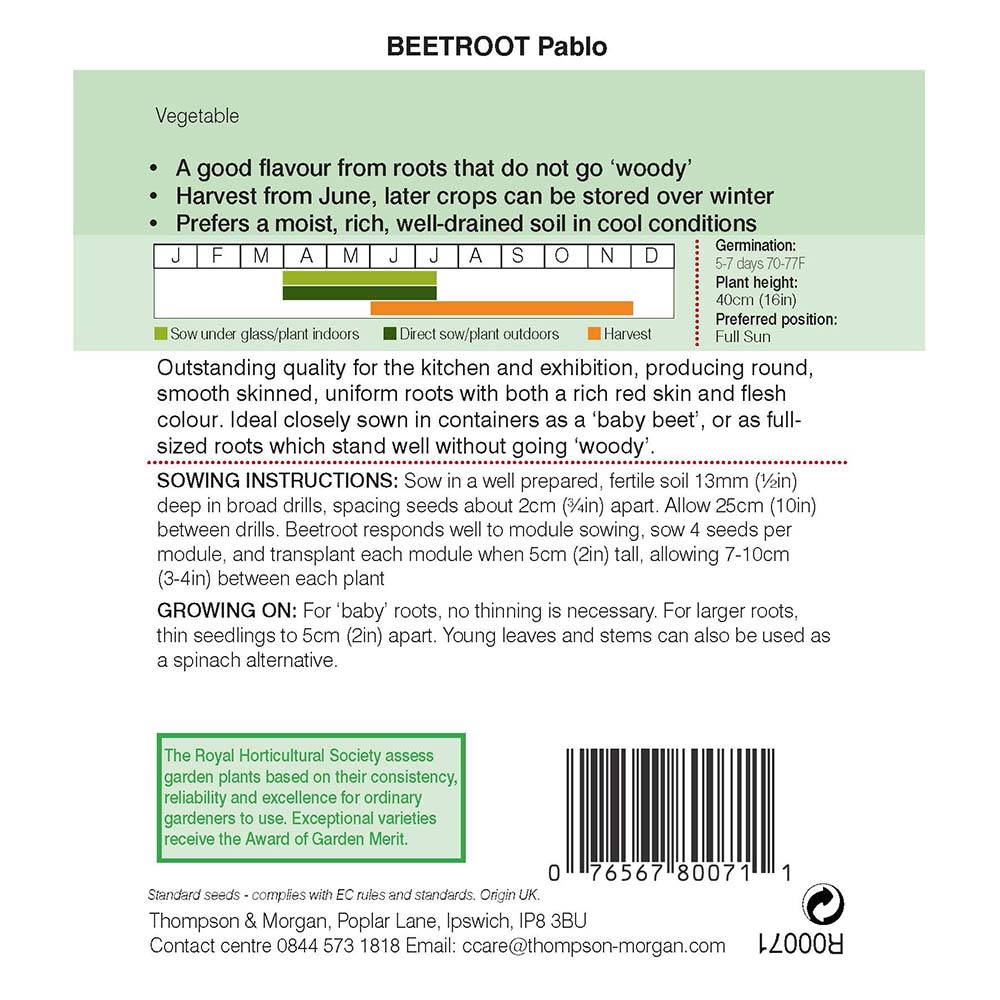 Beet Pablo Seeds