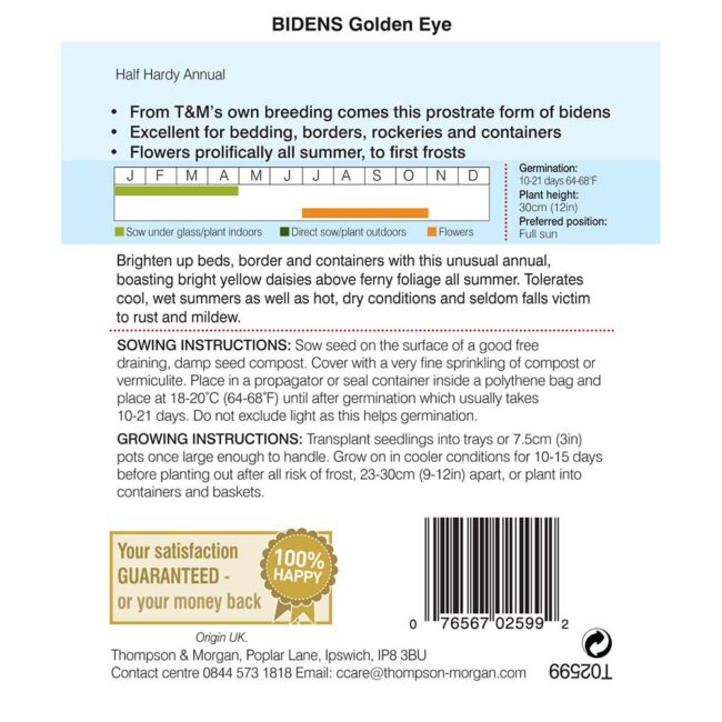 Bidens Golden Eye Flower Seeds