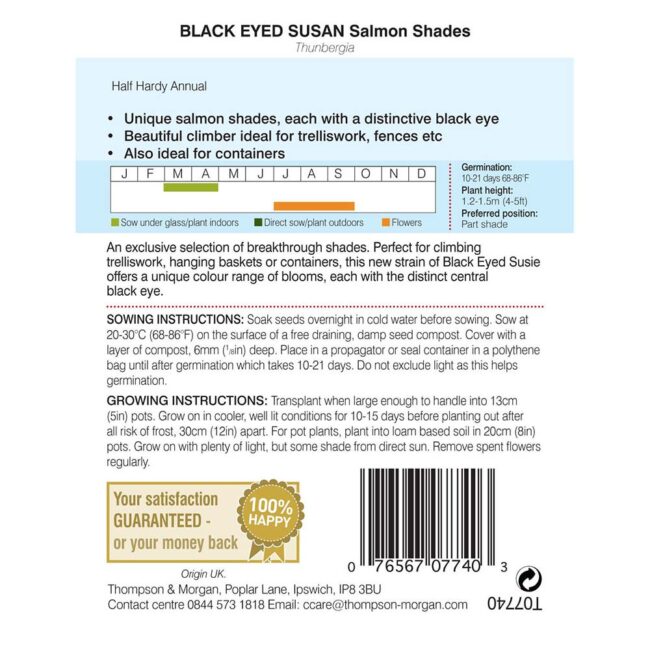 Black Eyed Susan Salmon Shades Flower Seeds