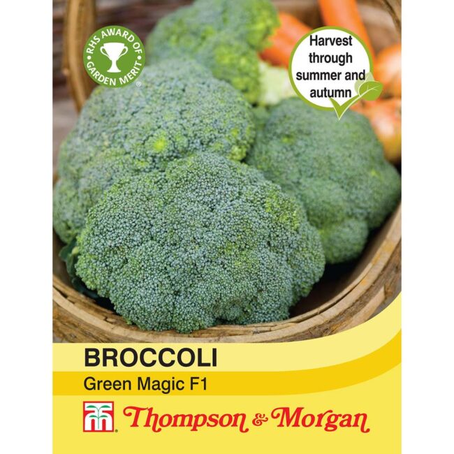 Broccoli Green Magic F1 Hybrid Vegetable Seeds
