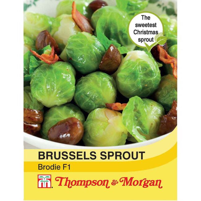 Brussels Sprout Brodie F1 Hybrid Vegetable Seeds