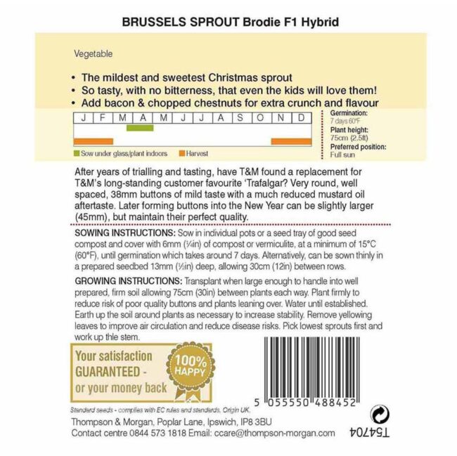 Brussels Sprout Brodie F1 Hybrid Vegetable Seeds