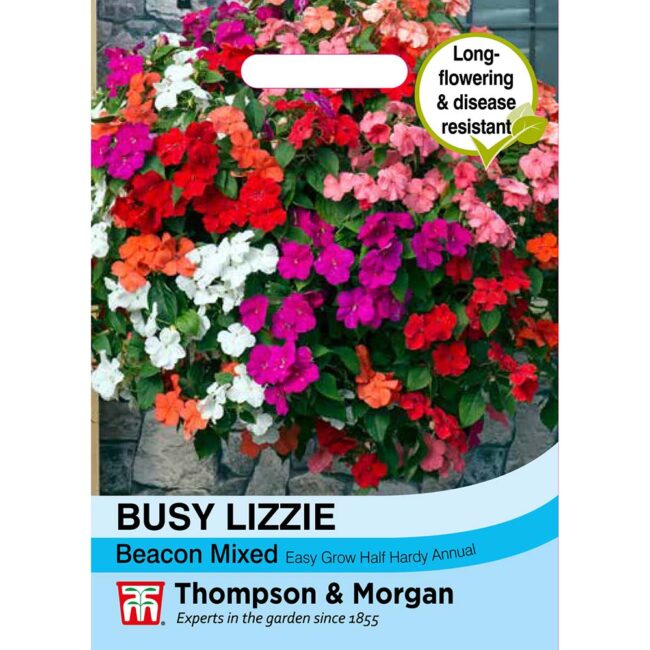 Busy Lizzie Beacon Mixed Flower Seeds